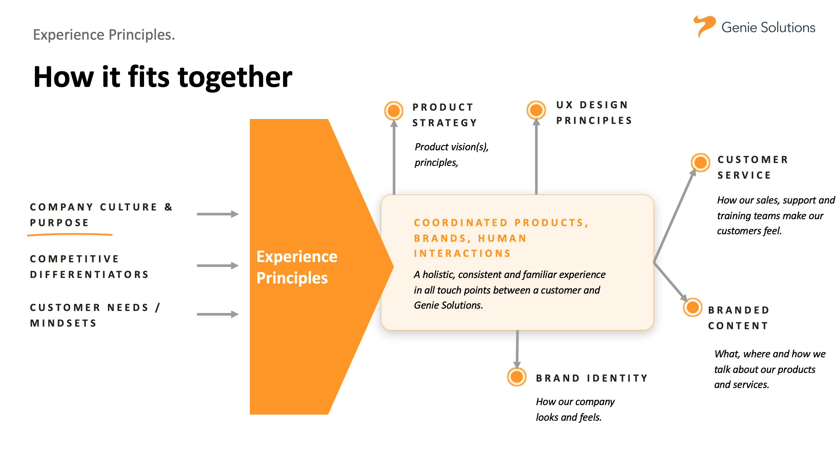 Genie Solutions roadmap of design principals